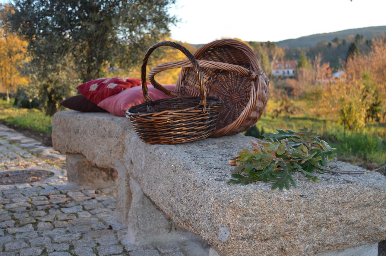 Casa Do Manego Ξενοδοχείο Quadrazais Εξωτερικό φωτογραφία